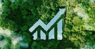 Environmental Disclosure Issues - Report Known Risks Before Sales