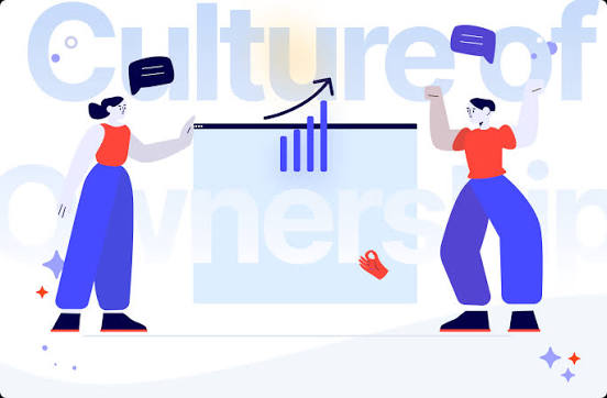 Software Ownership Problems - Define Rights Before Development Starts